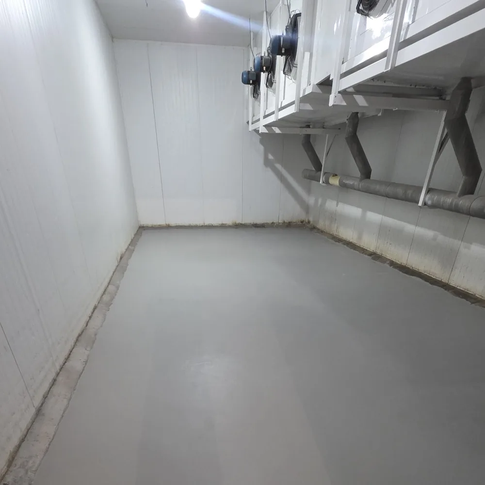 O mesmo túnel de congelamento depois da aplicação do revestimento uretano, com piso contínuo e lavável
